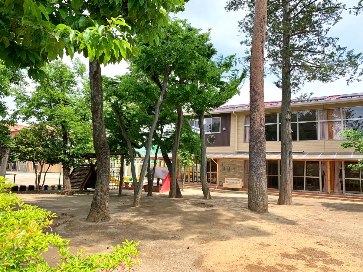 スタディピア 木の実幼稚園 さいたま市浦和区 の投稿写真一覧