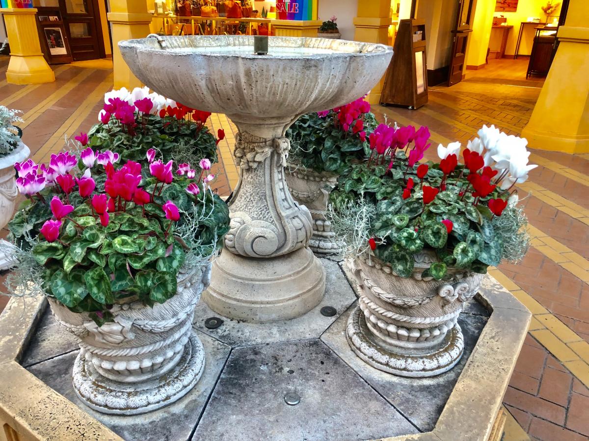 マーケットピア イクスピアリ 浦安市 の投稿ユーザーアルバム 1ページ