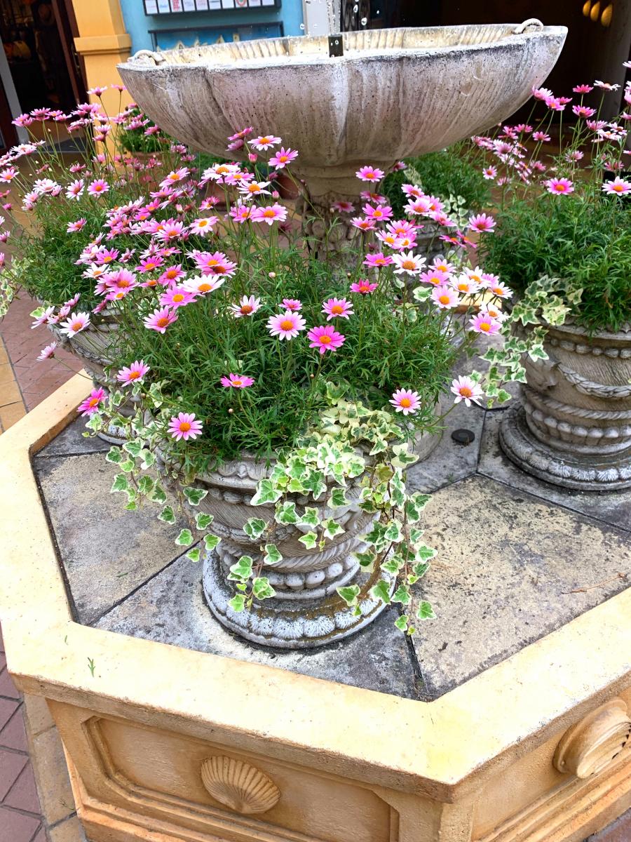 マーケットピア イクスピアリ 浦安市 の投稿ユーザーアルバム 1ページ