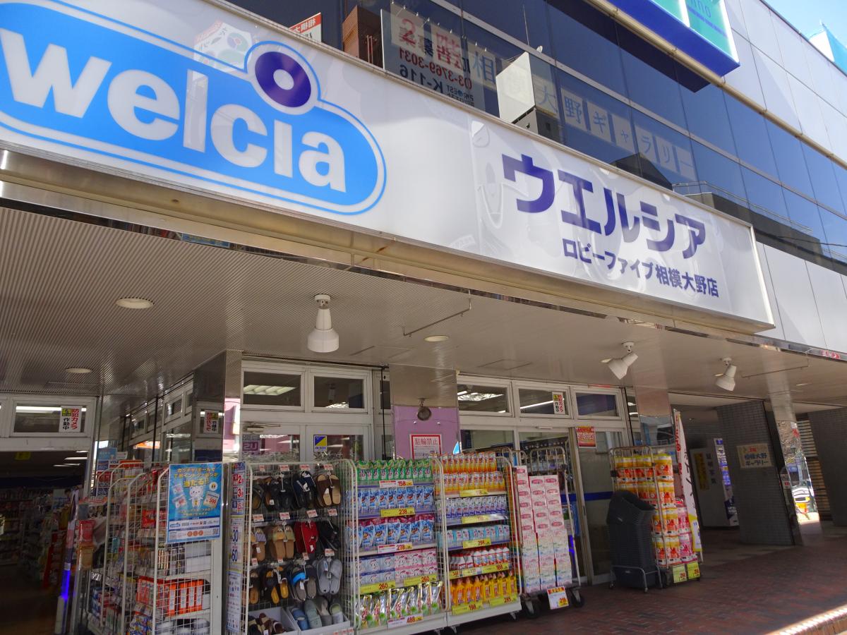 マーケットピア ウエルシア ロビーファイブ相模大野店 相模原市南区 周辺の生活施設情報