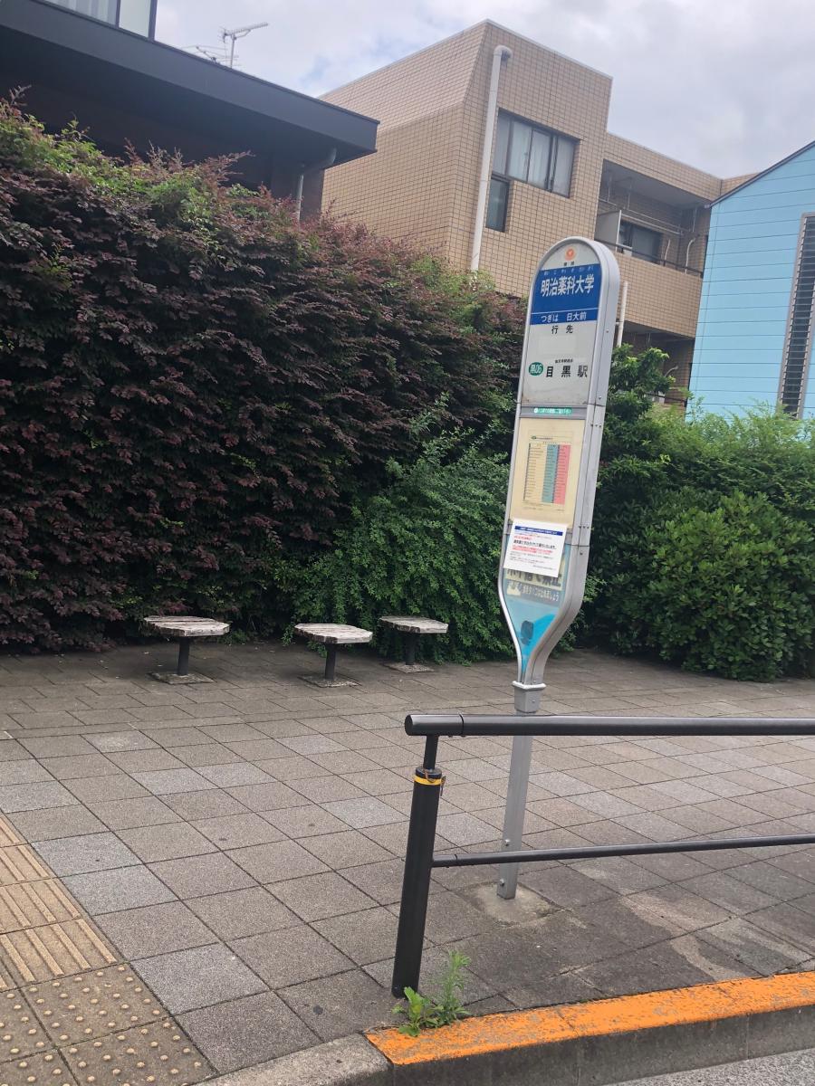 ユキサキナビ 東急バス 明治薬科大学 バス停留所 世田谷区三軒茶屋