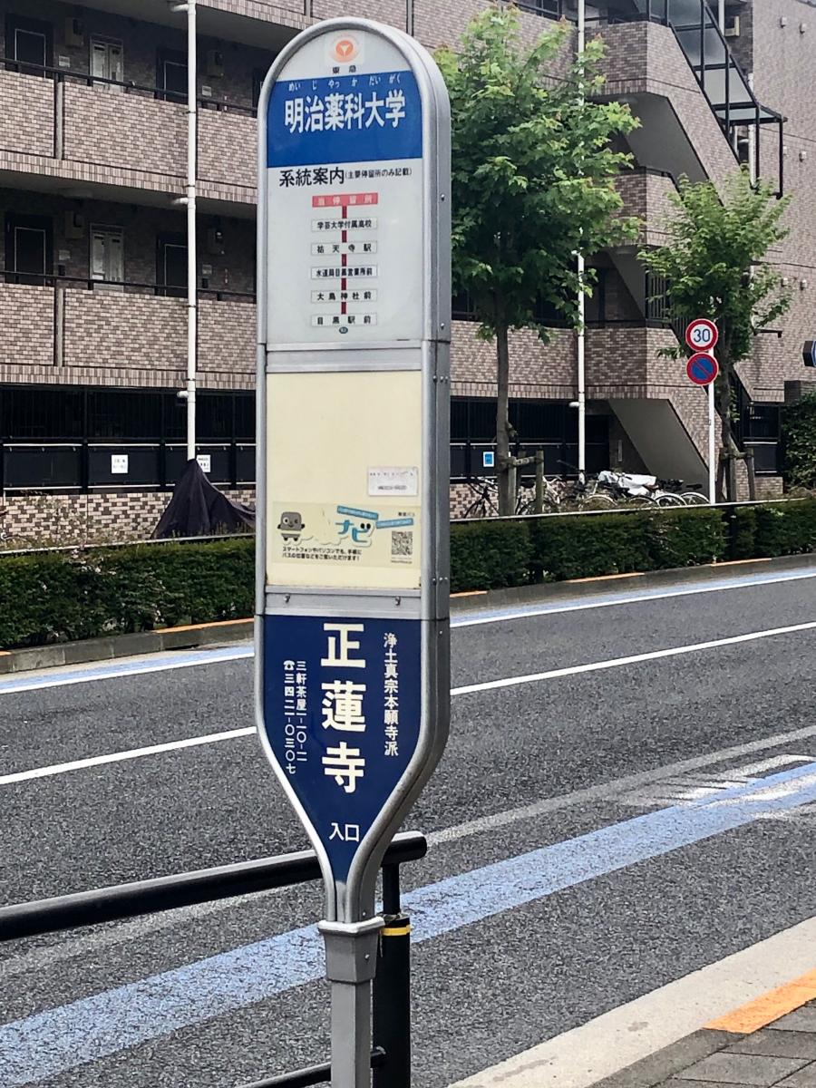 ユキサキナビ 東急バス 明治薬科大学 バス停留所 世田谷区三軒茶屋