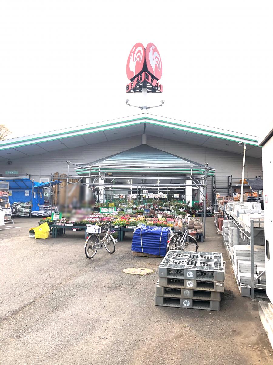 マーケットピア コメリハード グリーン 猿島店 坂東市沓掛