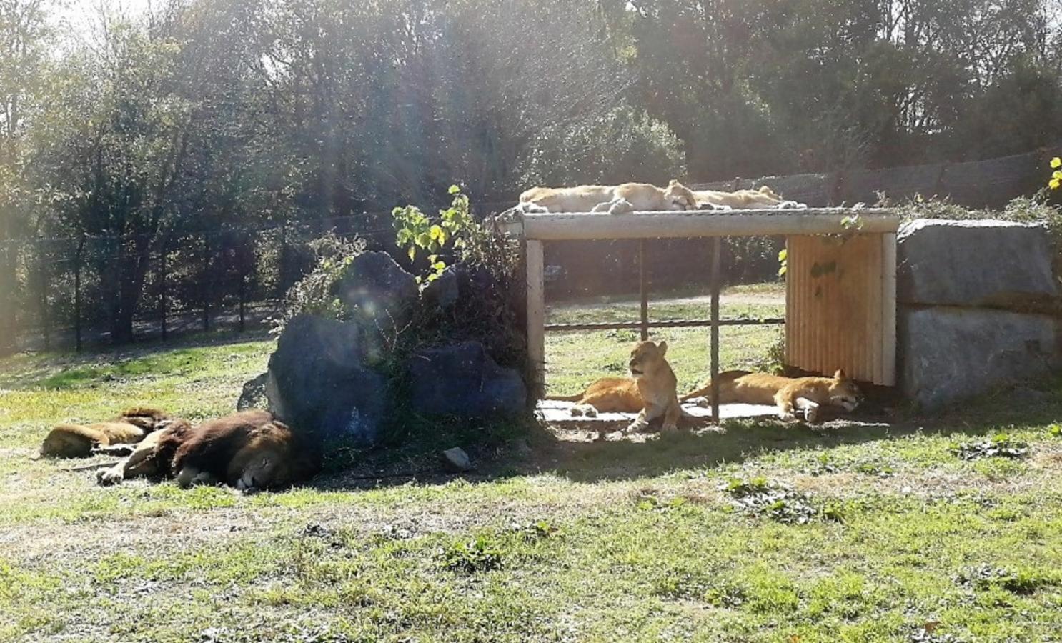 旅探 たびたん 姫路セントラルパーク 姫路市豊富町神谷