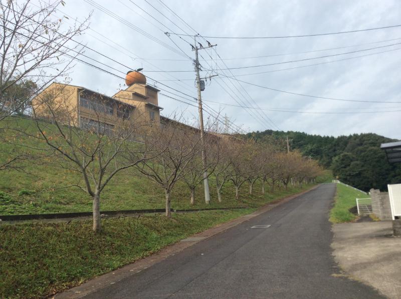 スタディピア 成和小学校 唐津市和多田本村
