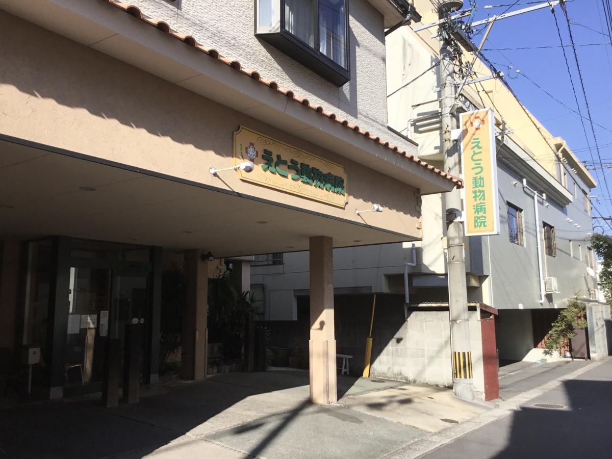 ドッグメディカル えとう動物病院 別府市南的ケ浜町