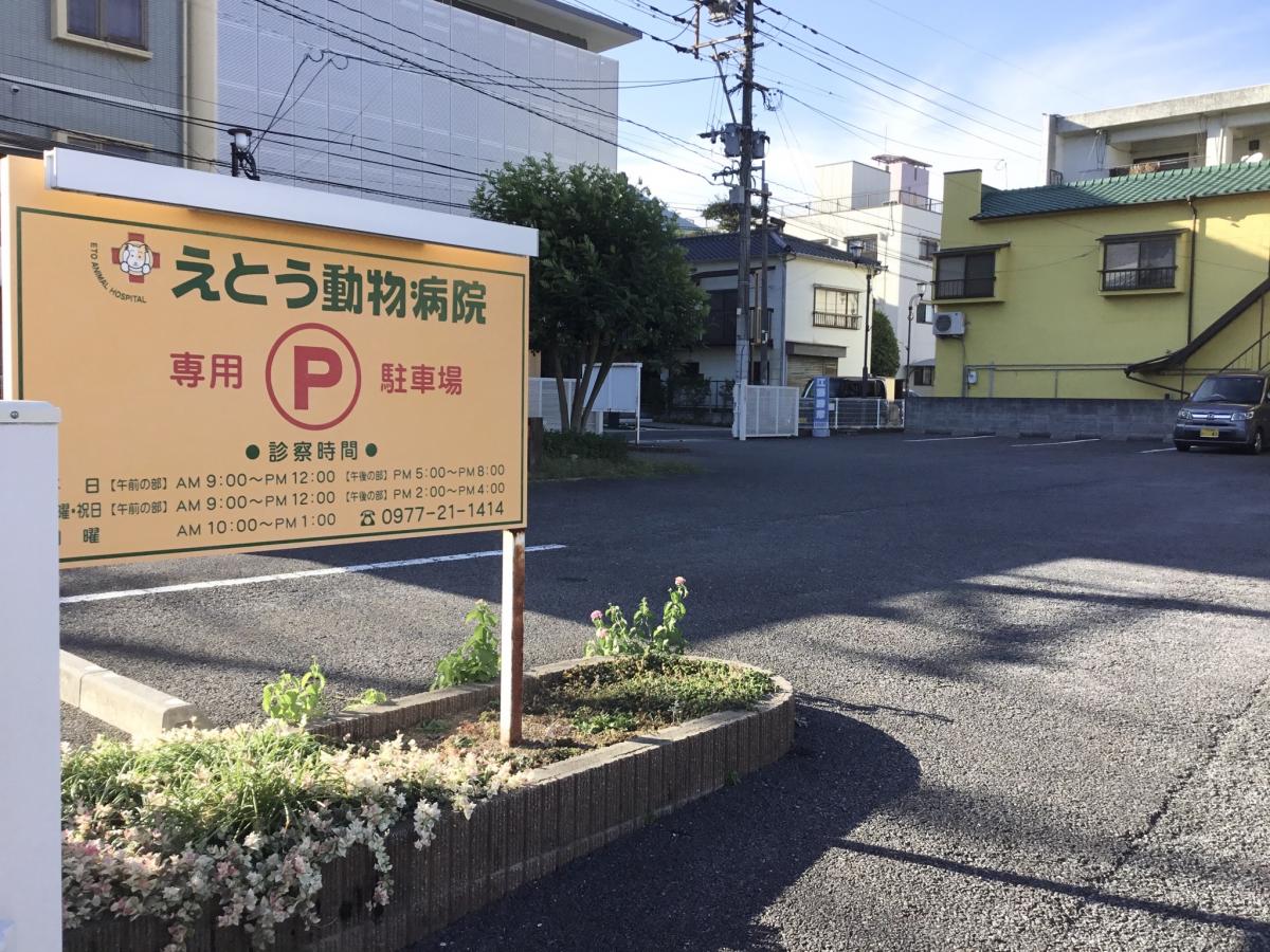 ドッグメディカル えとう動物病院 別府市南的ケ浜町