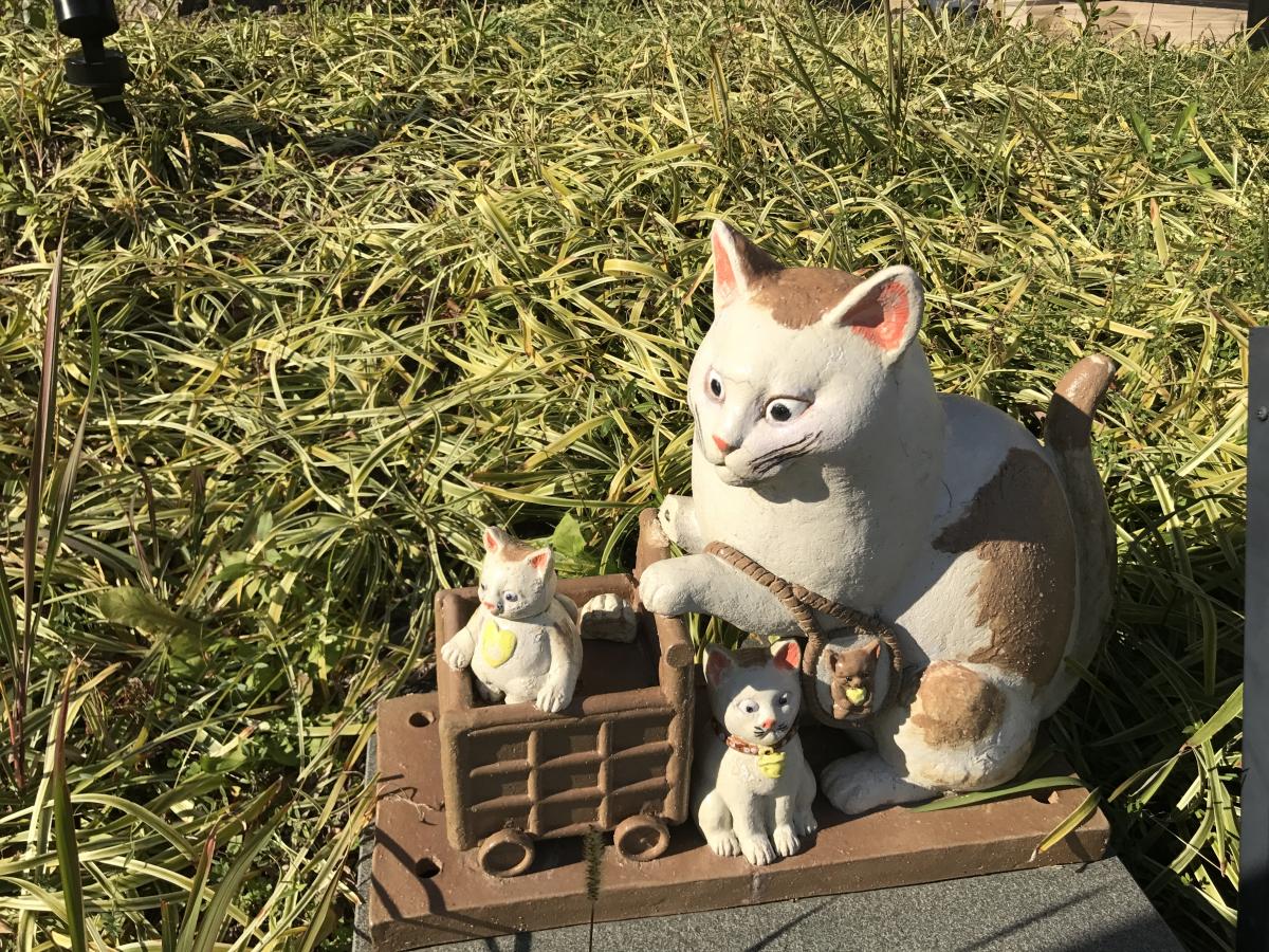 マーケットピア イオン 常滑のコメント一覧 2ページ