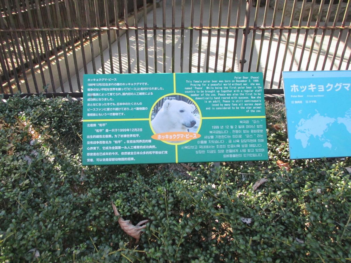 旅探 たびたん 愛媛県立とべ動物園 伊予郡砥部町 の投稿写真一覧 1ページ