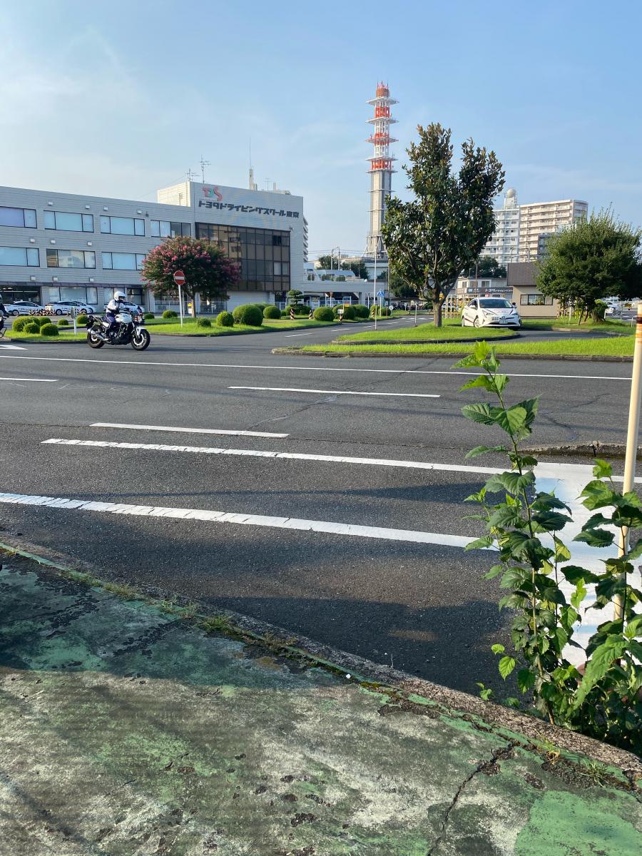 スタディピア】トヨタドライビングスクール東京(立川市羽衣町)