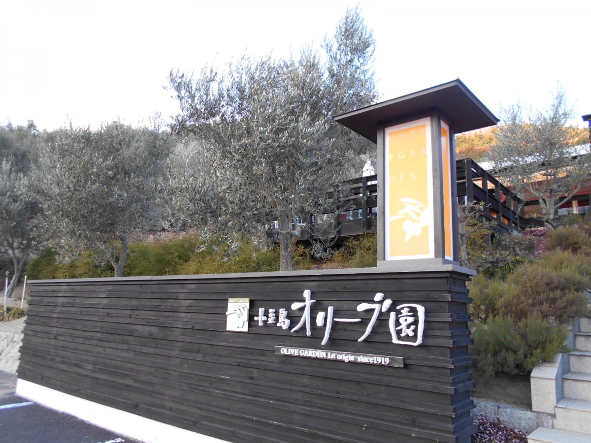 小豆島オリーブ園