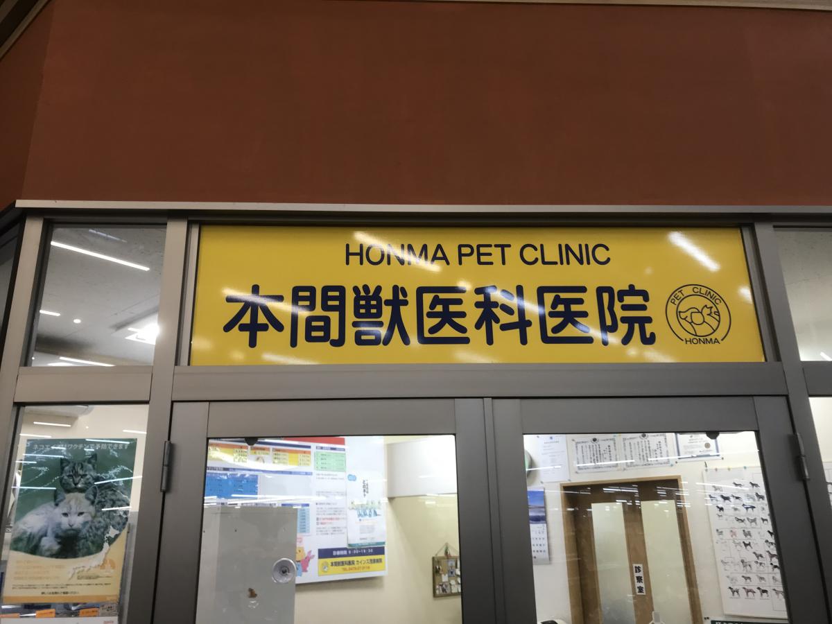 ドッグメディカル 本間獣医科医院カインズ茂原病院 茂原市腰当