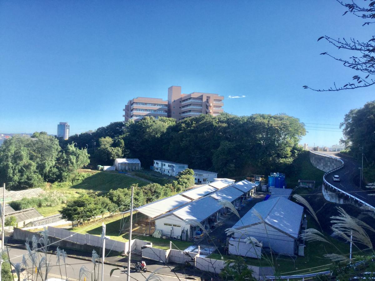 スタディピア 写真 東京農業大学厚木キャンパス