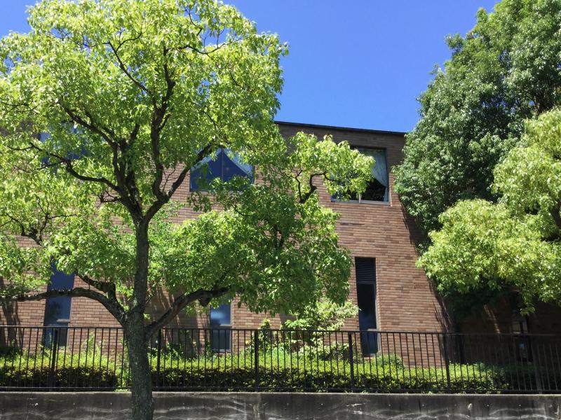 スタディピア 私立六甲中学校 神戸市灘区 周辺施設 口コミ 写真 動画