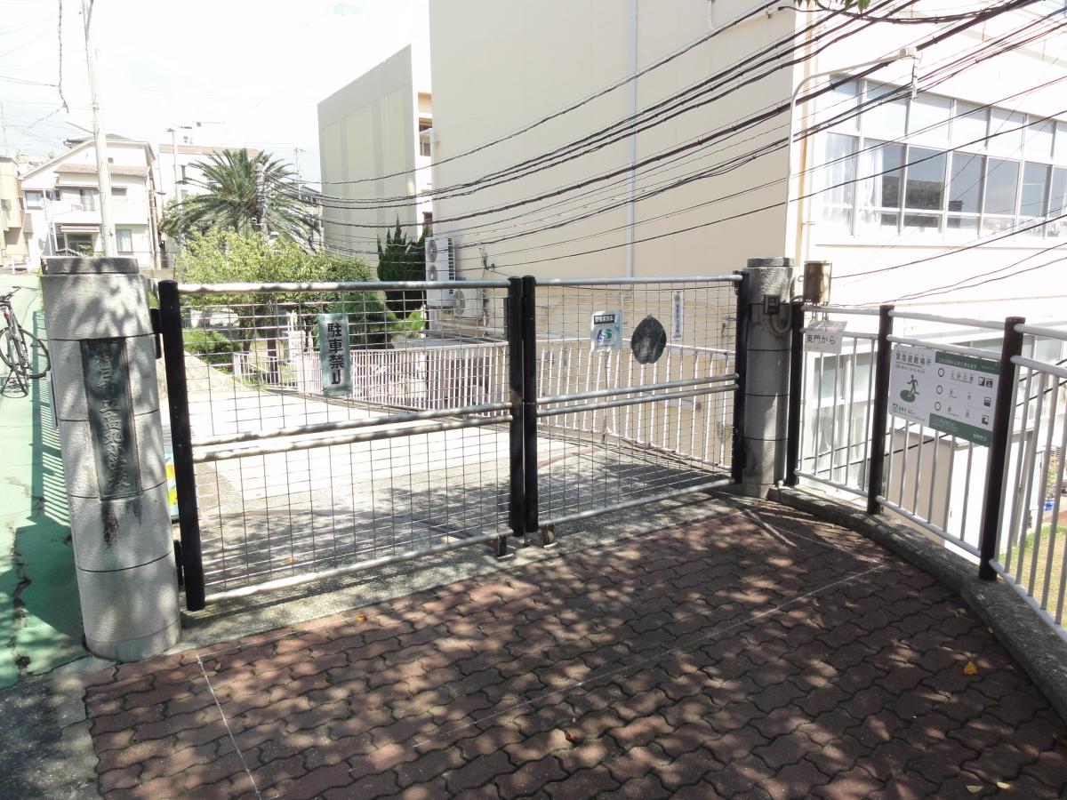 ドッグメディカル 周辺施設の口コミ 写真 動画 たかまる動物病院