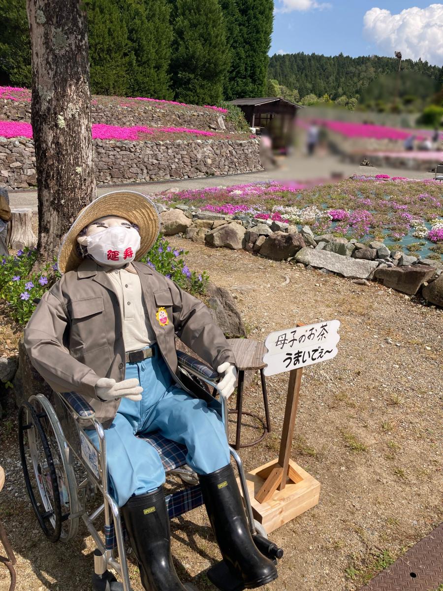 パブリネット 花のじゅうたん 三田市永沢寺