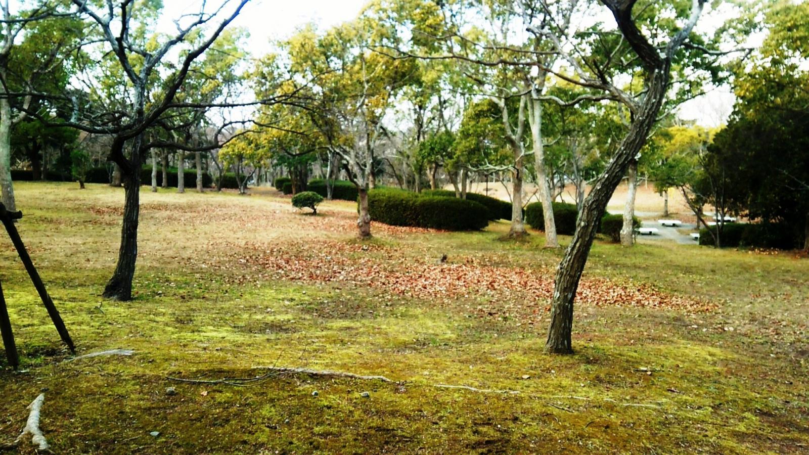 ホームメイト 学が丘南公園 パブリネット ホームメイト 学が丘南公園 パブリネット