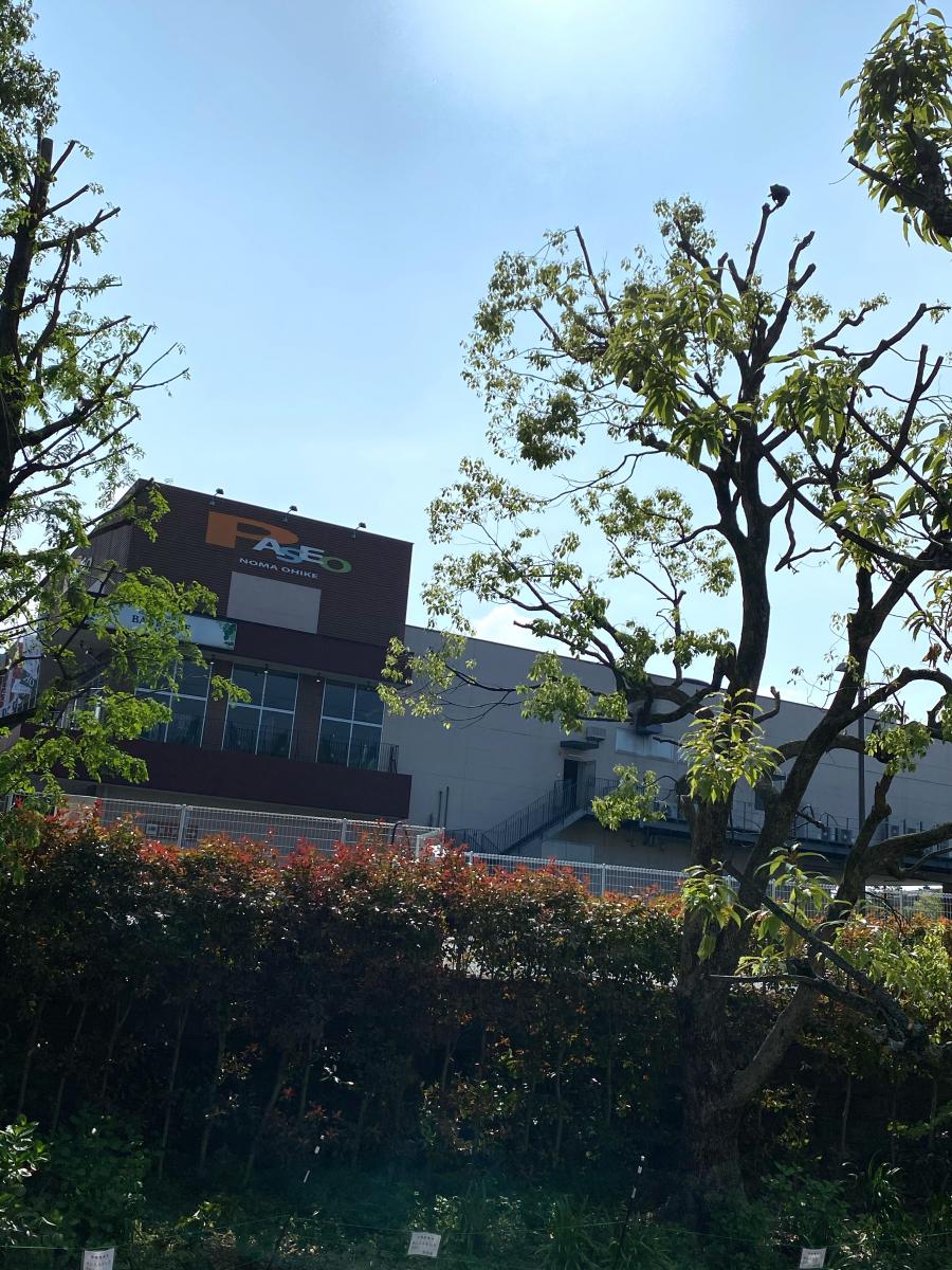 マーケットピア パセオ野間大池 福岡市南区柳河内