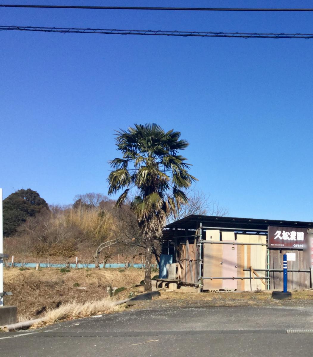 旅探 たびたん フルーツパーク久松農園 かすみがうら市下佐谷