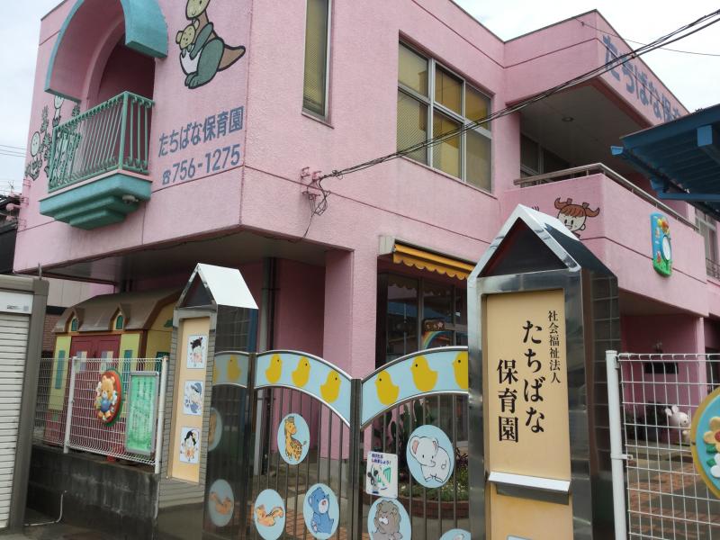 たちばな 保育園 社会福祉法人 たちばな保育園 Amp Petmd Com