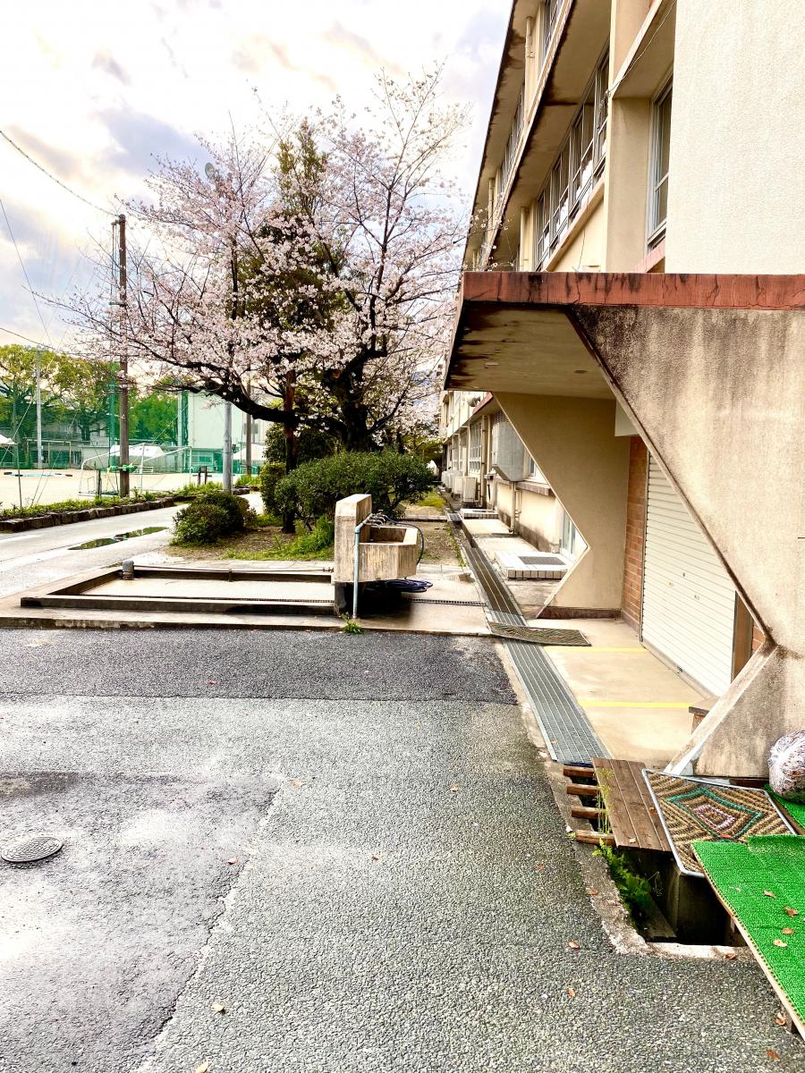 スタディピア 京陵中学校 スタディピア 京陵中学校