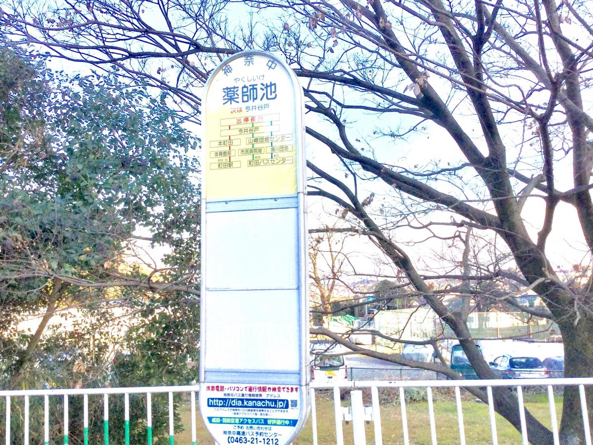 バスカード 神奈川中央交通 町田市 薬師池梅園 再入荷 薬師池梅園
