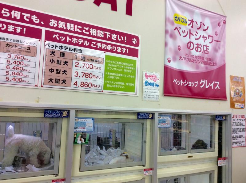 マーケットピア ペットショップグレイス院庄店 津山市院庄