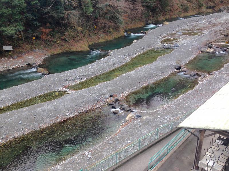 旅探 たびたん 氷川国際ます釣場