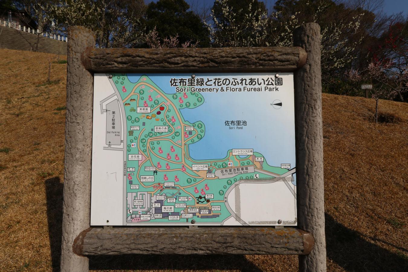 パブリネット 写真 佐布里緑と花のふれあい公園