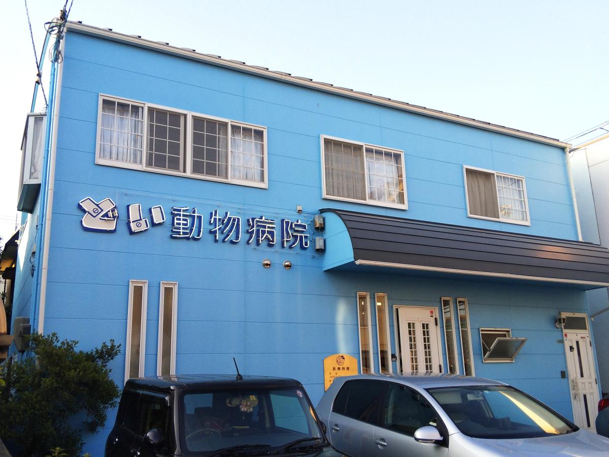 ドッグメディカル どい動物病院 松山市和泉南