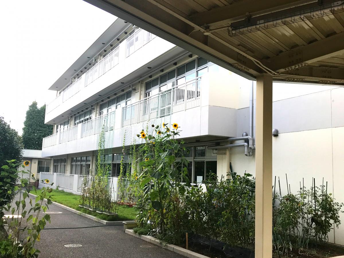 スタディピア 仲町中学校 ホームメイト