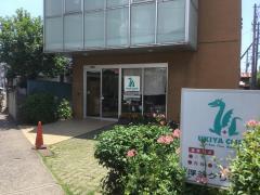 ドクターマップ 市川市民診療所 市川市大洲