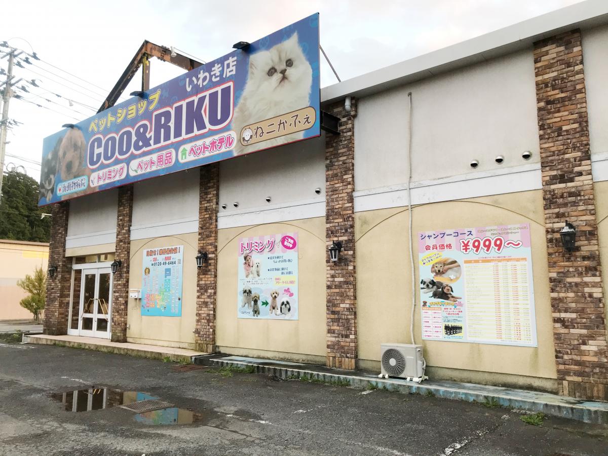 マーケットピア ペットショップｃｏｏ ｒｉｋｕ いわき店