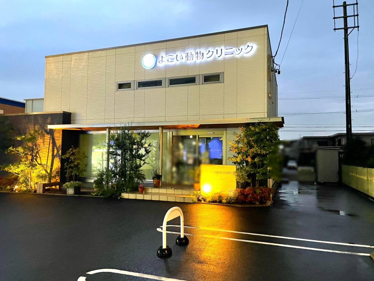 ドッグメディカル よこい動物クリニック ドッグメディカル よこい動物クリニック