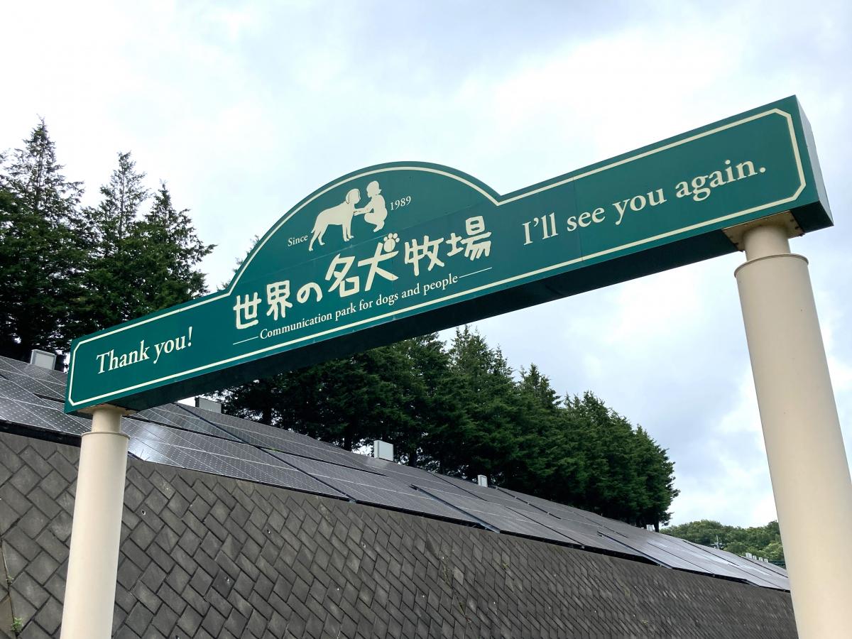 マーケットピア たくさんの犬とふれあえます 世界の名犬牧場 前橋市 のお気に入りコメント 口コミ
