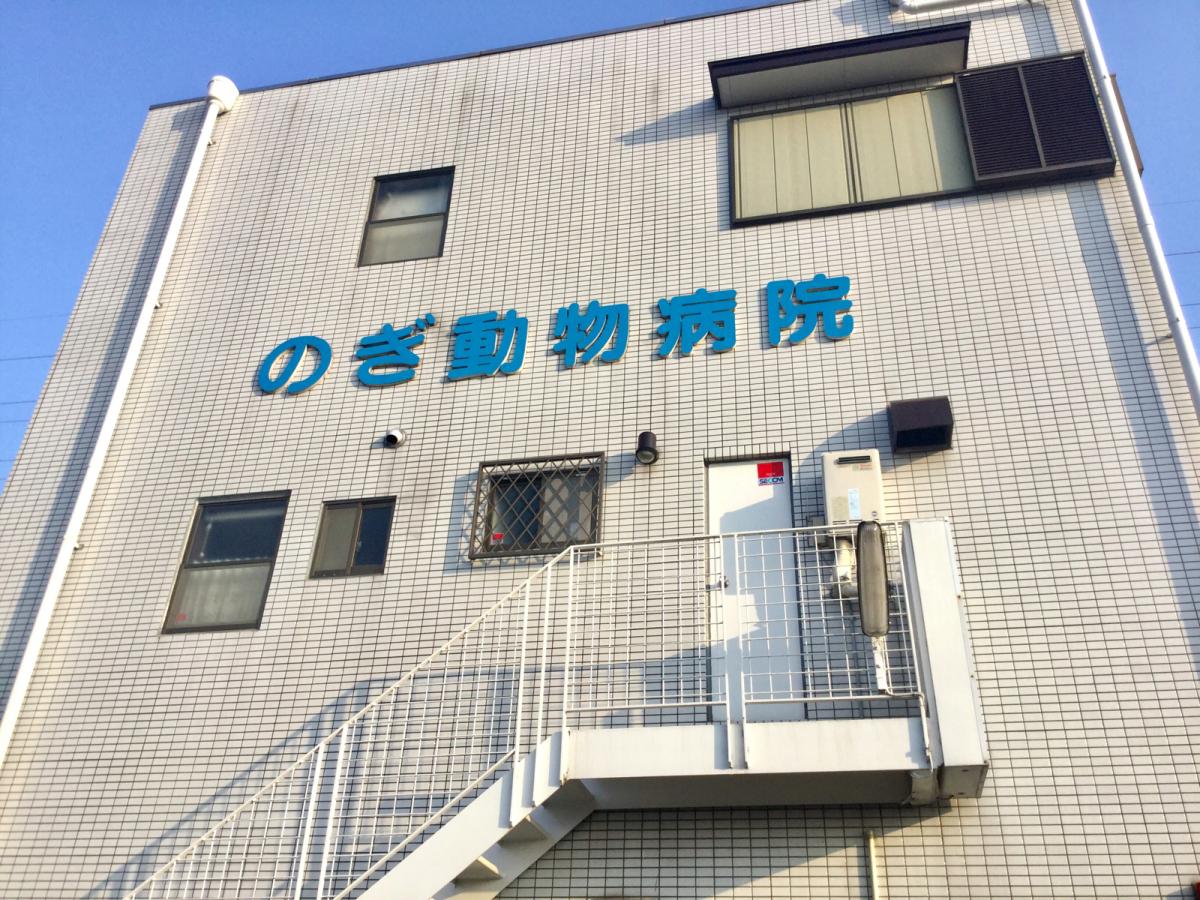 ドッグメディカル のぎ動物病院