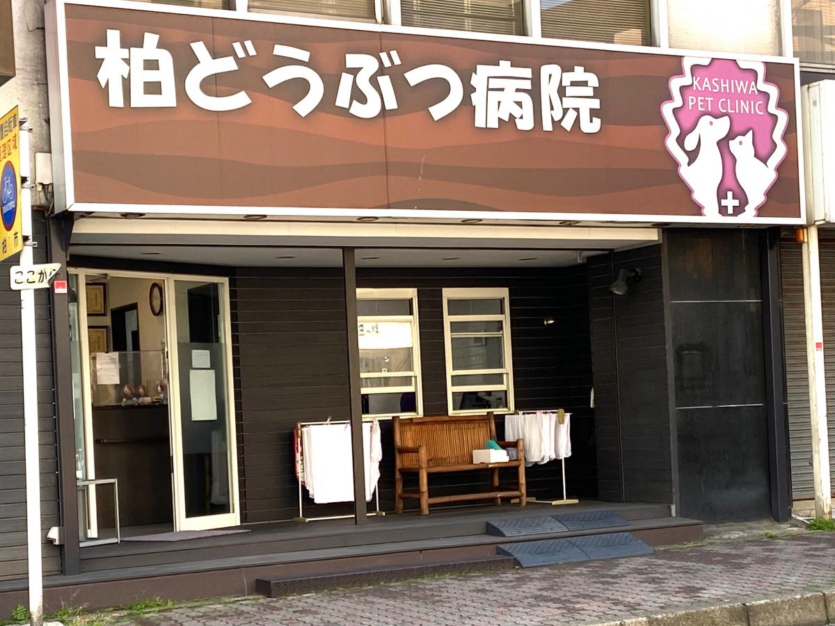 接骨ネット 柏中央接骨院 柏市 周辺施設 口コミ 写真 動画