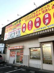 接骨ネット 富永整骨院