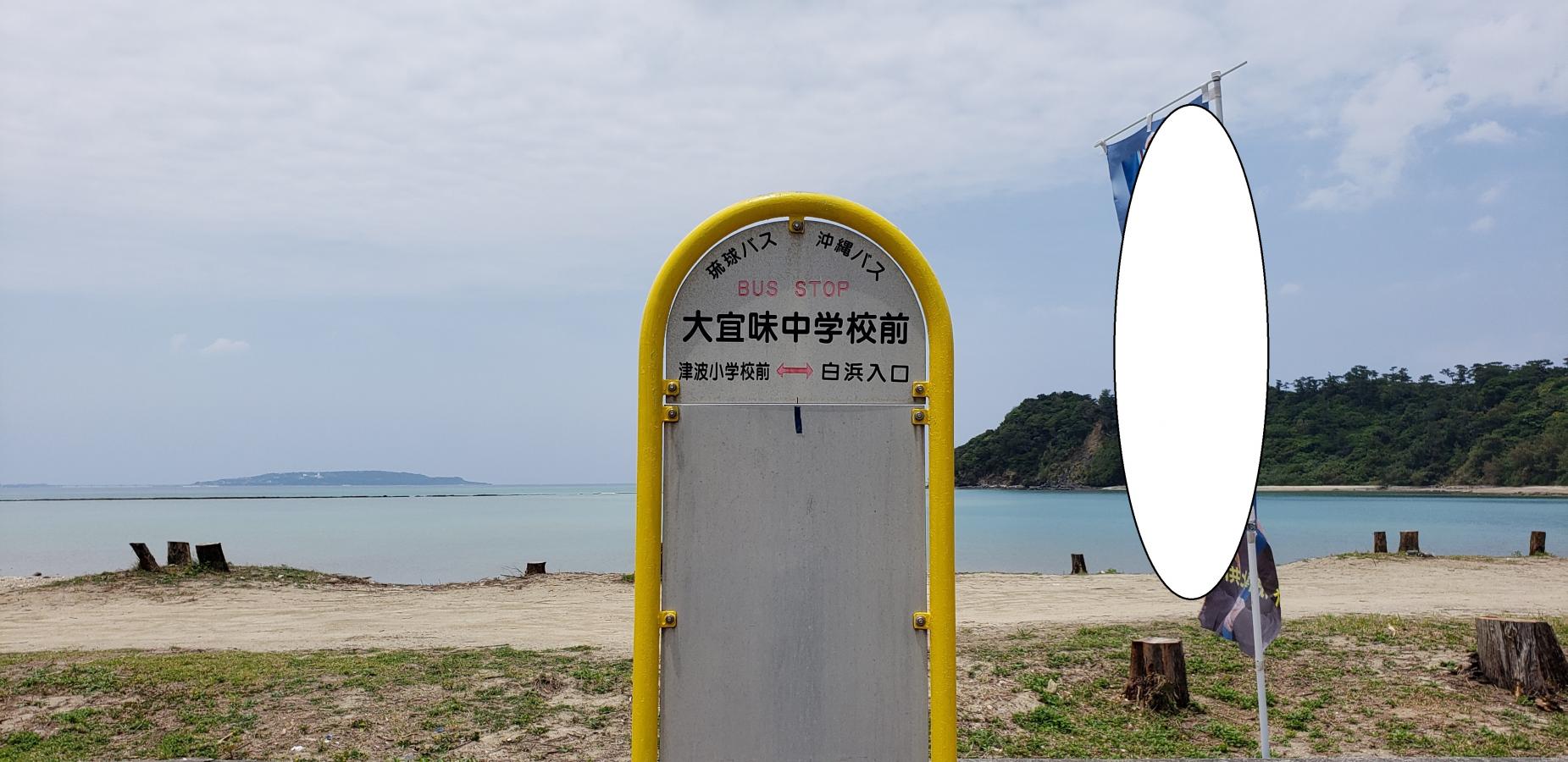 ユキサキナビ 琉球バス交通沖縄バス 大宜味中学校前 バス停留所 国頭郡大宜味村津波