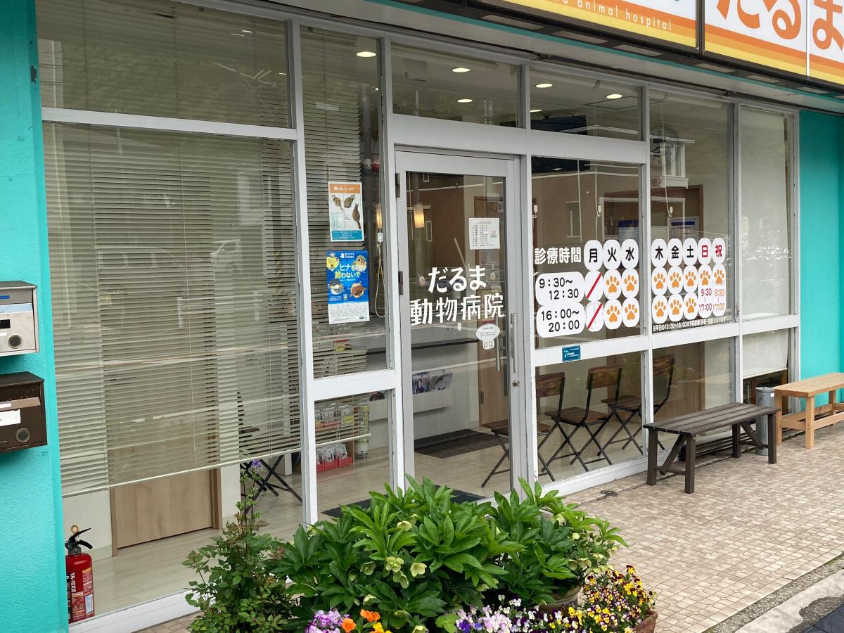ドッグメディカル だるま動物病院