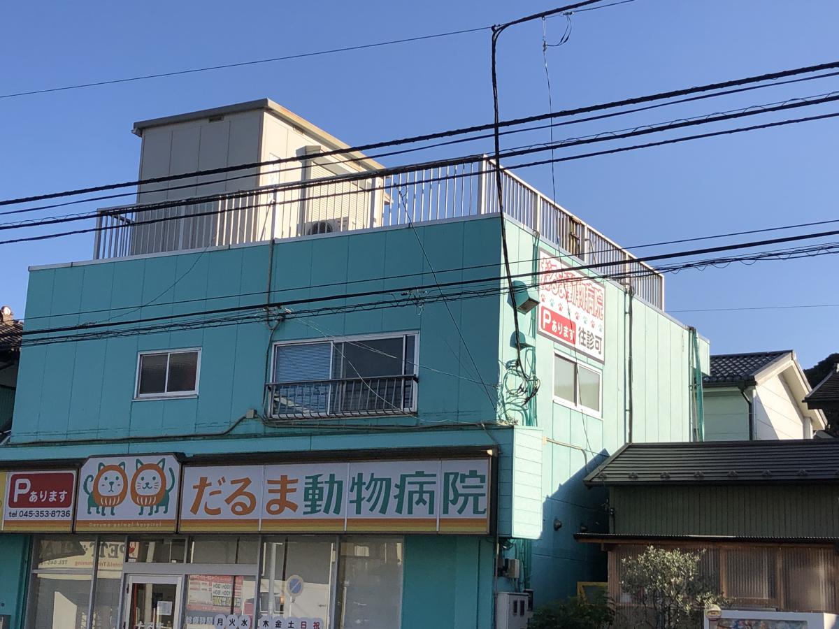 ドッグメディカル だるま動物病院