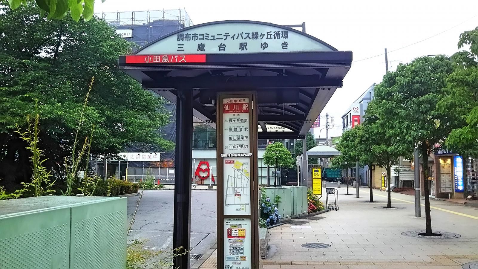 マーケットピア サンドラッグ 仙川店 調布市 周辺施設 口コミ 写真 動画