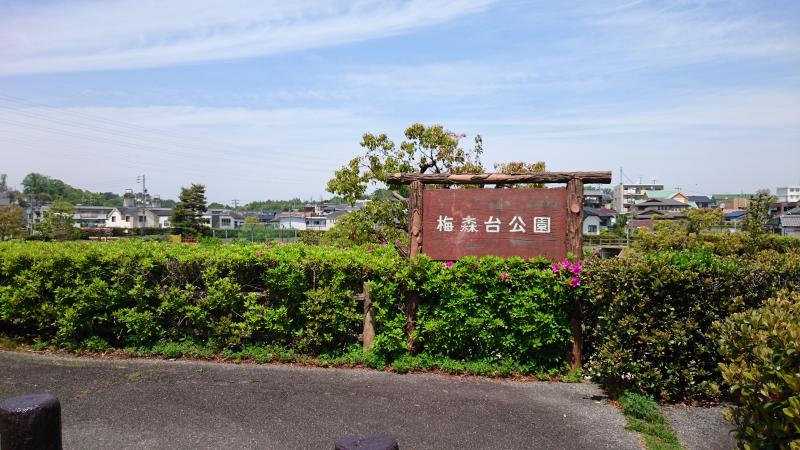 パブリネット 梅森台公園 日進市 の投稿写真一覧