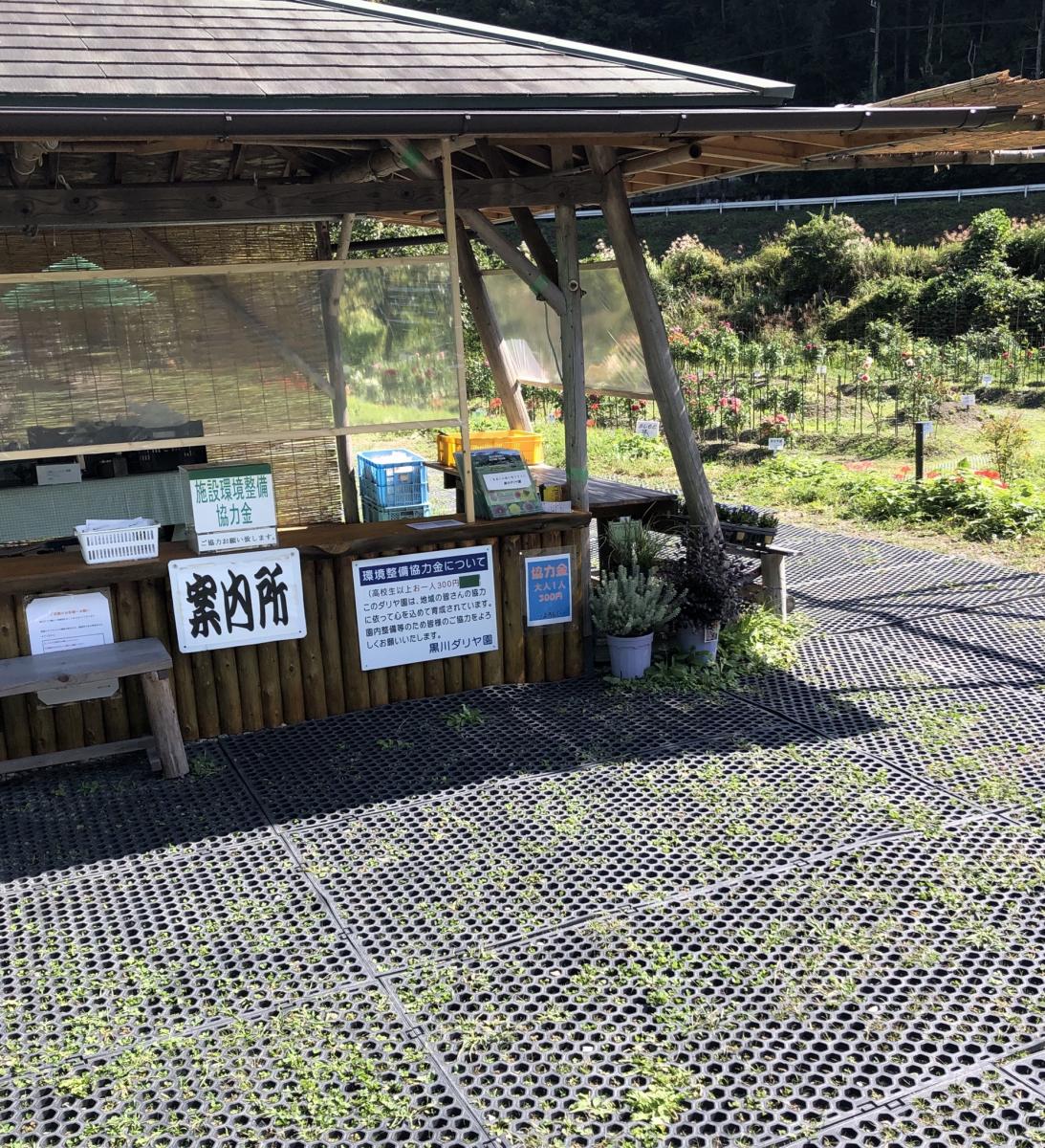 旅探 たびたん 黒川ダリア園 川西市黒川