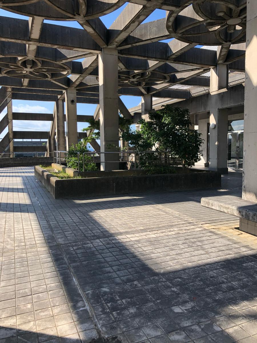 スポランド 21世紀の森体育館 名護市大南
