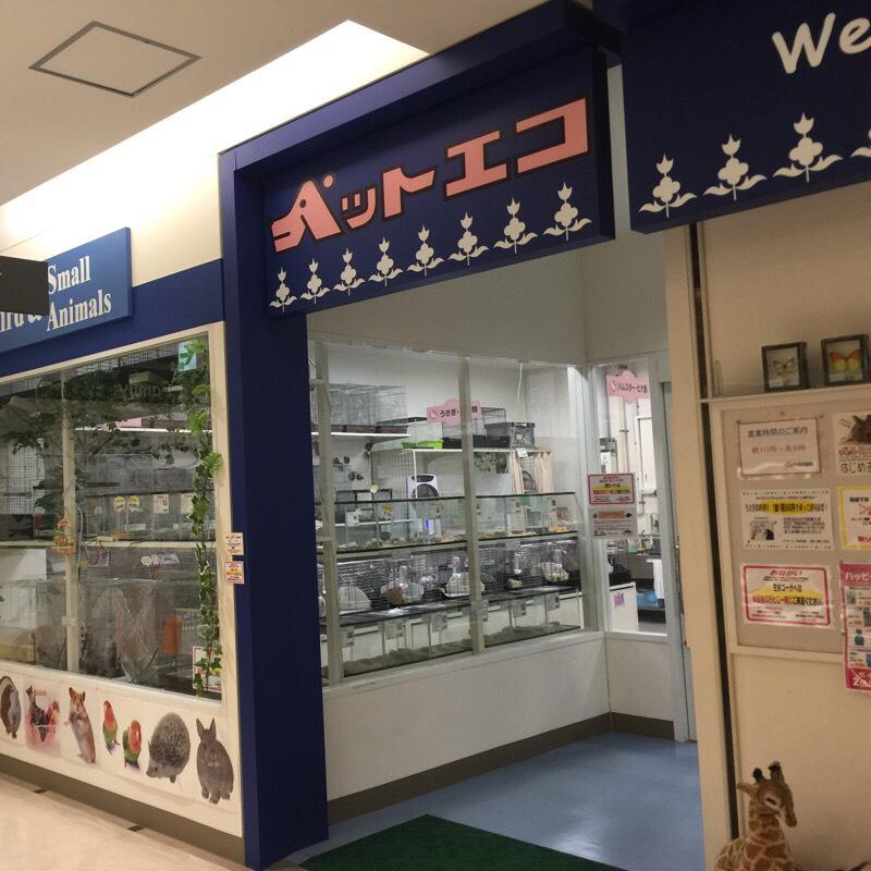 マーケットピア ハニーズ 仙台長町店 仙台市太白区 周辺施設 口コミ 写真 動画