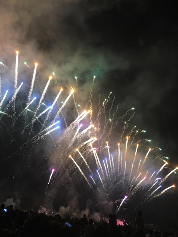 関市民花火大会 関市 の投稿写真一覧 ホームメイト リサーチ 旅探