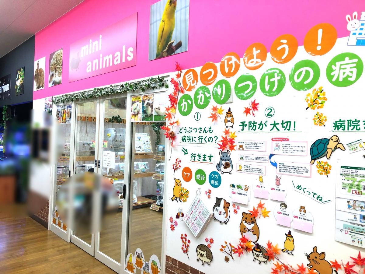 ペットプラザ 王子堀船店：投稿ユーザー写真集／ホームメイト