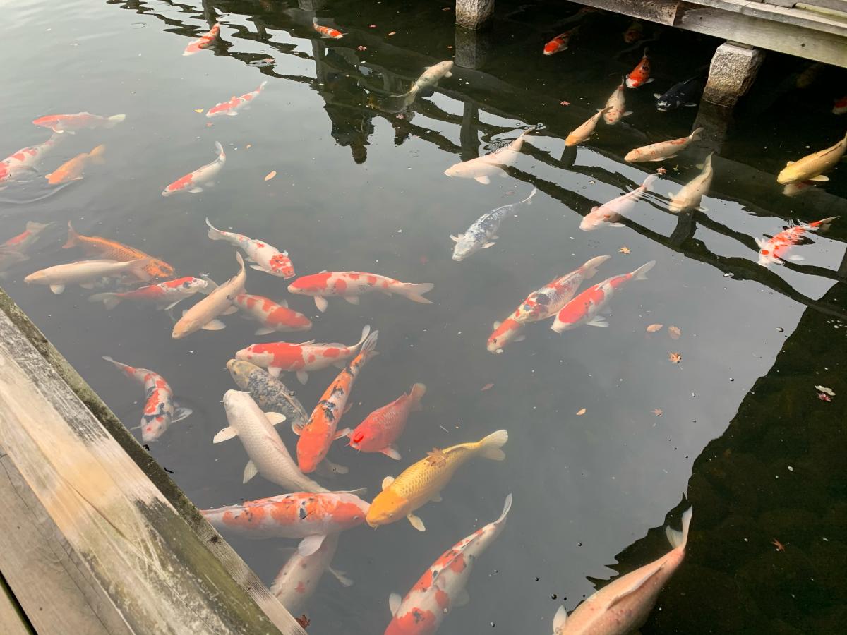 パブリネット 三景園