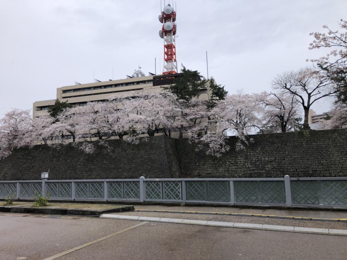 パブリネット 福井県庁 福井市 周辺の生活施設情報